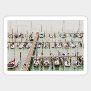 Boat Harbour Sticker